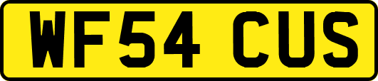 WF54CUS