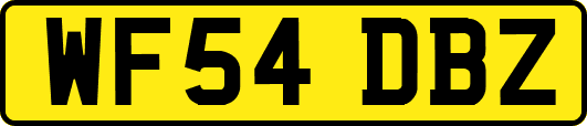 WF54DBZ