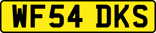 WF54DKS