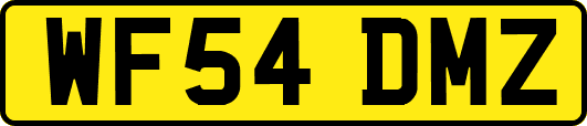 WF54DMZ