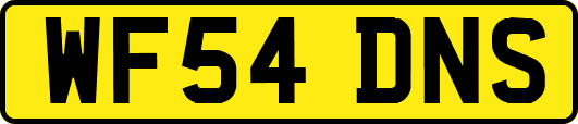 WF54DNS