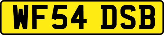WF54DSB