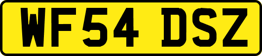 WF54DSZ