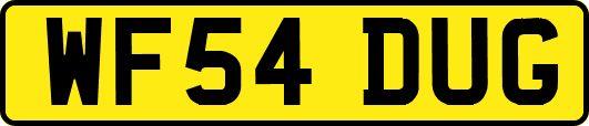 WF54DUG