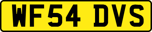 WF54DVS