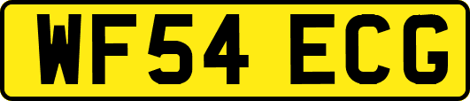 WF54ECG