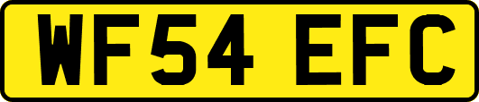 WF54EFC