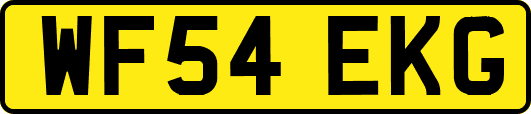 WF54EKG