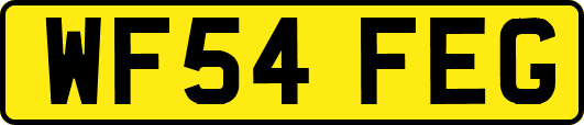 WF54FEG