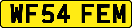 WF54FEM