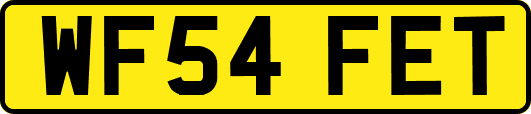 WF54FET