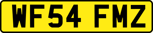 WF54FMZ
