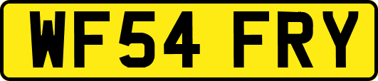 WF54FRY