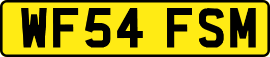 WF54FSM