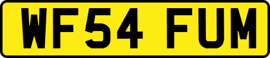 WF54FUM