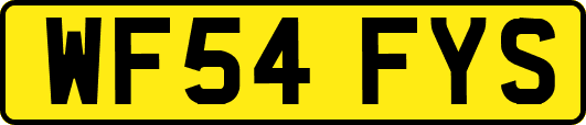 WF54FYS