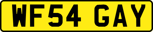 WF54GAY