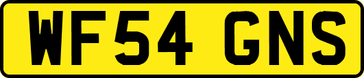 WF54GNS