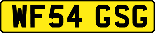 WF54GSG