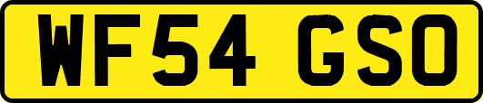 WF54GSO