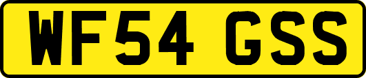 WF54GSS