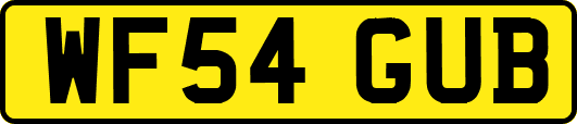 WF54GUB