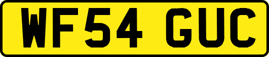 WF54GUC