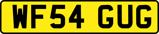 WF54GUG