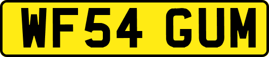 WF54GUM