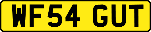 WF54GUT
