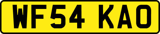 WF54KAO