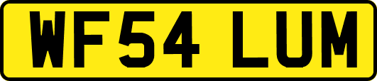 WF54LUM