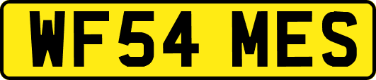 WF54MES