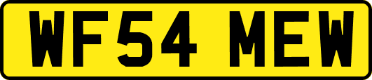 WF54MEW