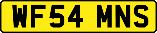WF54MNS