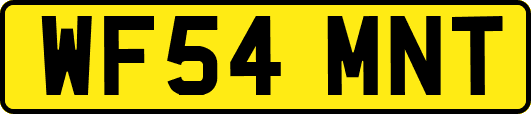 WF54MNT