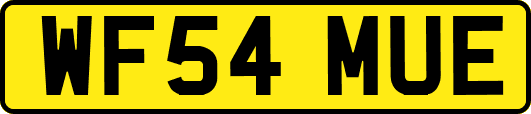 WF54MUE