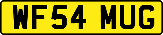 WF54MUG