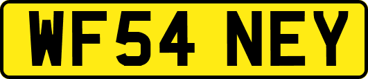 WF54NEY