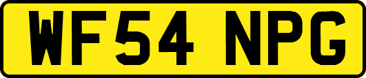 WF54NPG