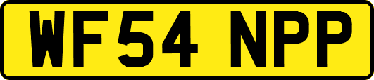 WF54NPP