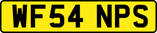 WF54NPS