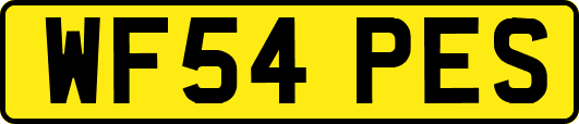 WF54PES