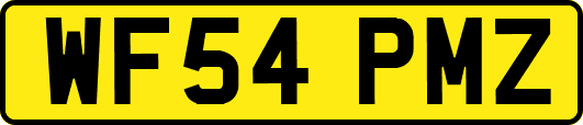 WF54PMZ