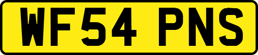 WF54PNS
