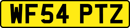 WF54PTZ