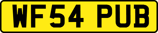 WF54PUB