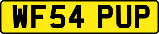 WF54PUP