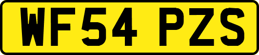 WF54PZS