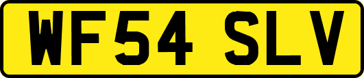 WF54SLV